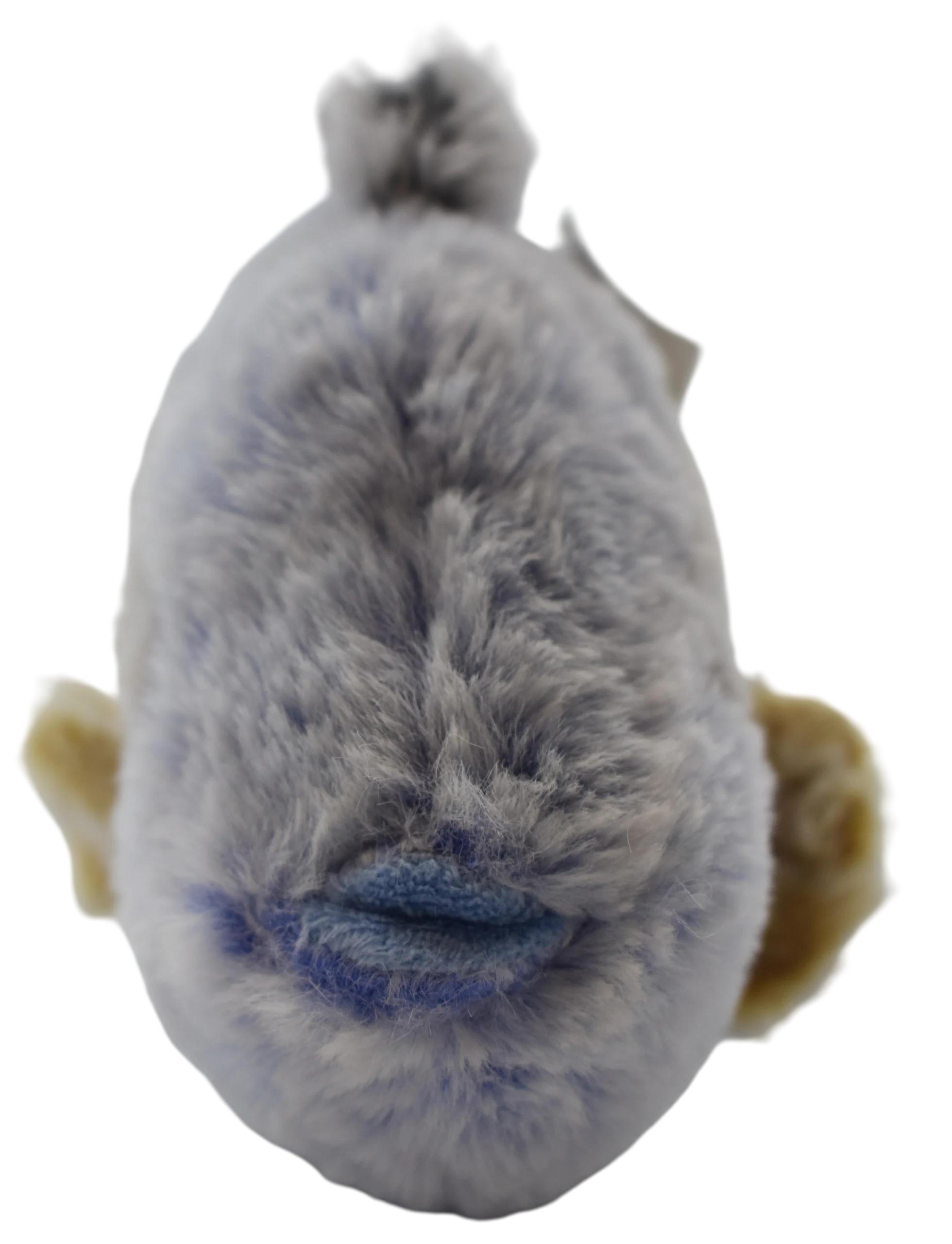 PLUSH SEA FISH - Image 3